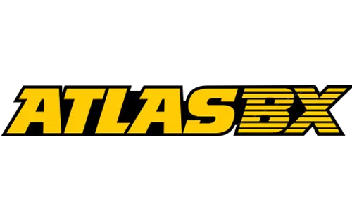 Tesla originele 12v accu's